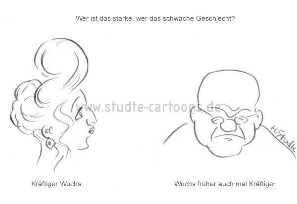 Starkes Geschlecht - schwaches Geschlecht, Haarwuchs, Glatze, Tolle