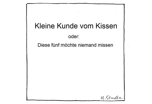 Kleine Kunde vom Kissen<br> 
oder: Diese fünf möchte niemand missen