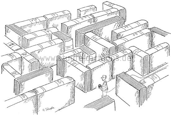 Im Bücherlabyrinth, Tausende Neuerscheinungen auf dem Buchmarkt, wer soll das alles lesen?, fehlende Orientierung auf dem Buchmarkt, Bücherfreund, Leseratte, Bücherwurm, Büchernarr, Bücherliebhaber, Bibliomane, Büchermensch, Leseratte